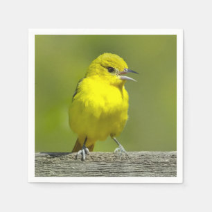 Tuinspot Oriole - Originele Foto Servet