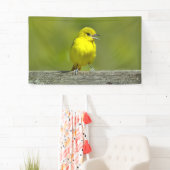 Tuinspot Oriole - Originele Foto Spandoek (Insitu)