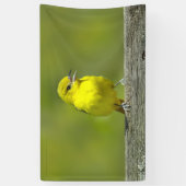 Tuinspot Oriole - Originele Foto Spandoek (Verticaal)