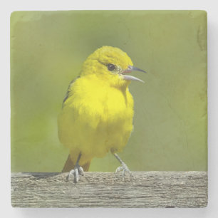 Tuinspot Oriole - Originele Foto Stenen Onderzetter