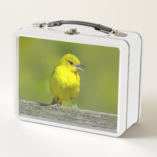 Tuinspotter - Originele Foto (Voorkant)
