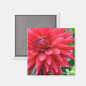 Tuinster Dahlia Magnet (Voorkant / Achterkant)