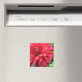 Tuinster Dahlia Magnet (Insitu (Vaatwasser))