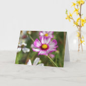 Tuintuin, Rosalinde Kaart (Gele Bloem)