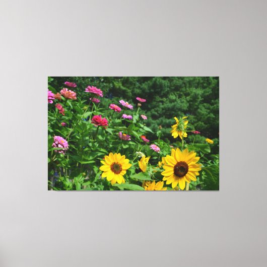 Tuintuin, Uitzicht, bloesems, zonnebloemen Canvas Afdruk (Voorkant)