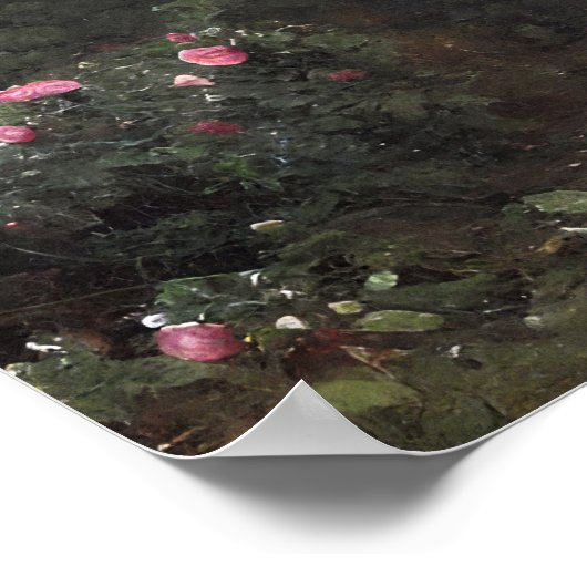 Tuintuin verlaten roos -  kunst poster (Hoek)