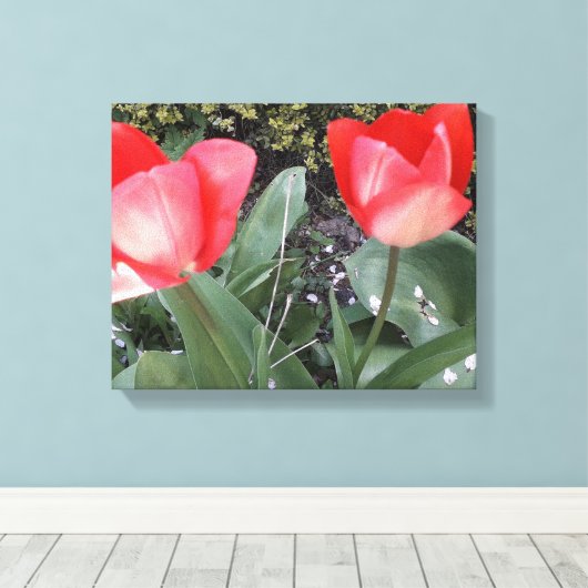 Tuintulpen Canvas Afdruk (Insitu (Houten vloer))