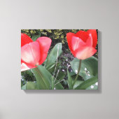 Tuintulpen Canvas Afdruk (Voorkant)