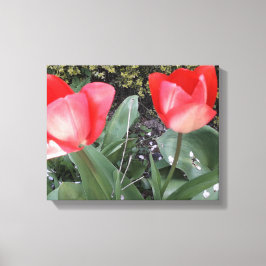 Tuintulpen Canvas Afdruk