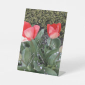 Tuintulpen Reclamebord Met Voetstuk (Voorkant)