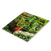 Tuinvijver Tegeltje (Zijkant)