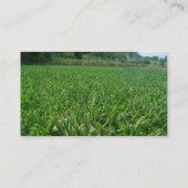 TuinVisitekaartje Visitekaartje (Achterkant)