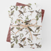 Tuinvogels in bijkantoren en coördinatoren inpakpapier vel (In situ)