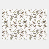 Tuinvogels in bijkantoren en coördinatoren inpakpapier vel (Voorkant)