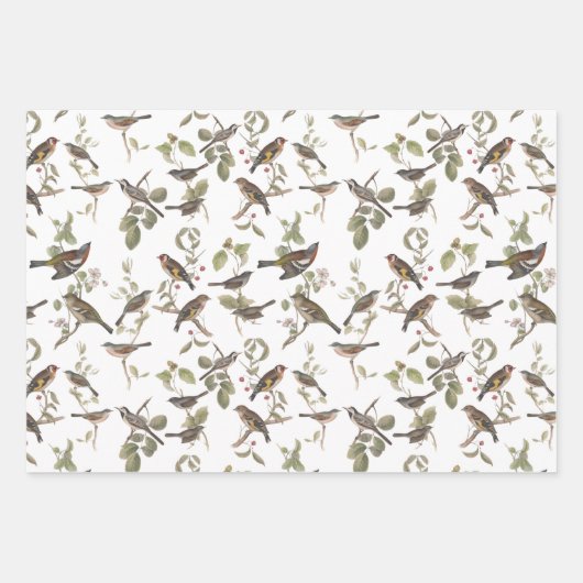 Tuinvogels in bijkantoren en coördinatoren inpakpapier vel (Voorkant)