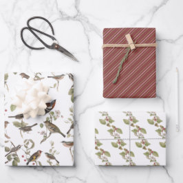 Tuinvogels in bijkantoren en coördinatoren inpakpapier vel