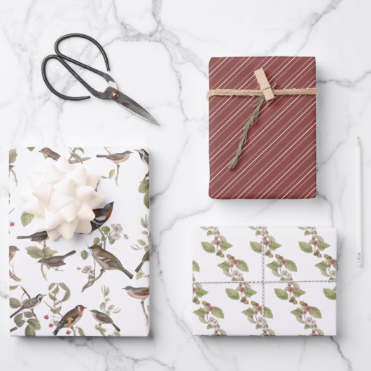 Tuinvogels in bijkantoren en coördinatoren inpakpapier vel (Voorkant)