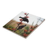 Tuinvogels op de Nieuw-Zeelandse vlasvlas struik Tegeltje (Zijkant)