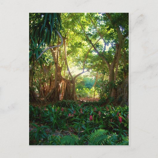 tuinvrede briefkaart (Voorkant)