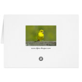 Tuinwielewaal - Originele Foto (Achterkant Horizontaal)