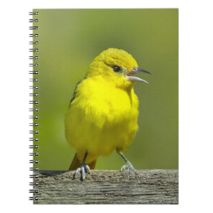 Tuinwielewaal - Originele Foto Notitieboek