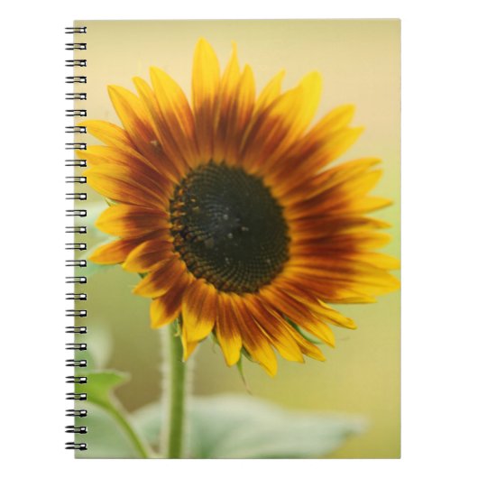 Tuinzonnebloem Notitieboek (Voorkant)