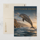 Tuisdolfijn Kust Oceaan DIEREN Briefkaart (Voorkant / Achterkant)