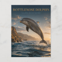 Tuisdolfijn Kust Oceaan DIEREN