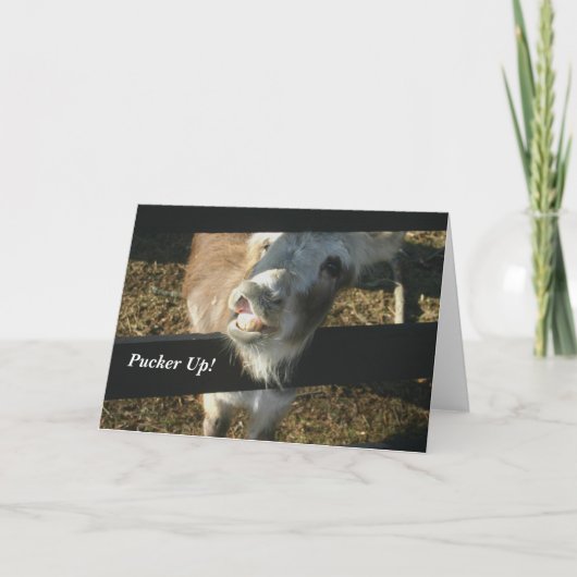 Tuit omhoog! feestdagen kaart (Voorkant)