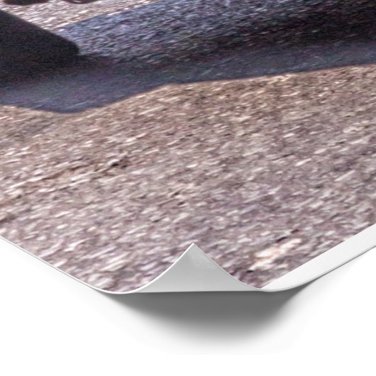 Tuk in Bankok, Thailand Poster (Hoek)