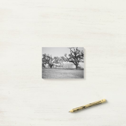 Tulane University of Audubon Park, New Orleans Post-it® Notes (Op bureau)