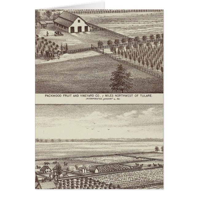 Tulare boerderijen (Voorkant)