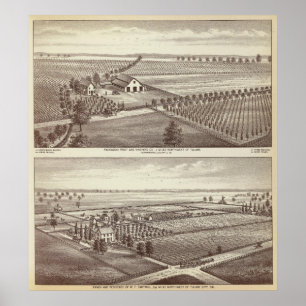 Tulare boerderijen poster