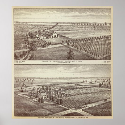 Tulare boerderijen poster (Voorkant)