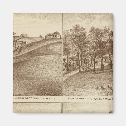 Tulare Co ranches, kantoren Magneet (Voorkant)