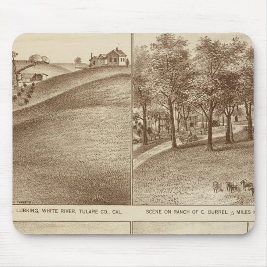 Tulare Co ranches, kantoren Muismat (Voorkant)
