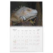 Tulazoo-kalender Kalender (Mar 2027)
