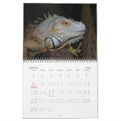 Tulazoo-kalender Kalender (Mar 2026)