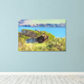 Tule-eland aan de kust canvas afdruk (Insitu (Houten vloer))