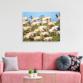 Tule Elk| Point Reyes National Seashore, CA Canvas Afdruk (Insitu (Woonkamer))