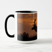Tule Elk | Point Reyes National Seashore Mok (Links)