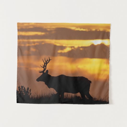 Tule Elk | Point Reyes National Seashore Wandkleed (Voorkant (horizontaal))