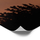 Tule Elk | Punt Reyes National Seashore Poster (Hoek)