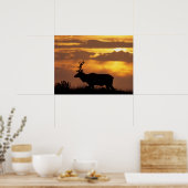 Tule Elk | Punt Reyes National Seashore Poster (Keuken)