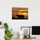 Tule Elk | Punt Reyes National Seashore Poster (Thuiskantoor)