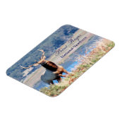 Tule Elk Reservepunt Reyes Magneet (Linkerzijde)