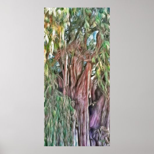 Tule Oaxaca OAX1 Art Print (Voorkant)