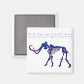 Tule zuigt fossiele bedden aan nationaal monument magneet (Voorkant / Achterkant)