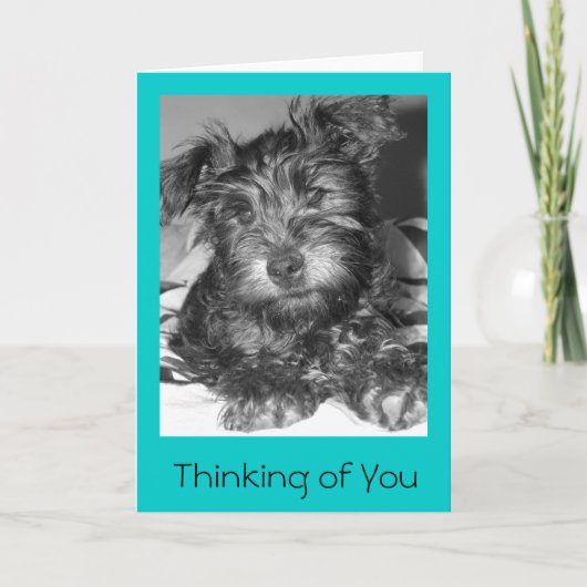 Tulio Kaart (Voorkant)