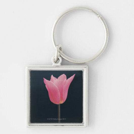 Tulip 2 sleutelhanger (Voorkant)